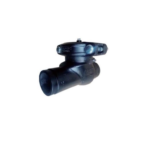 Check Valve
